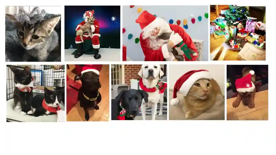 IAR Holiday Shopping Spree