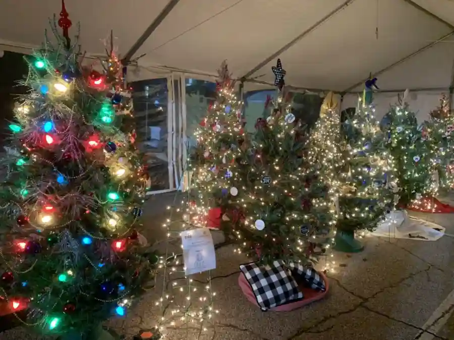 CDM 2021 Silent Auction