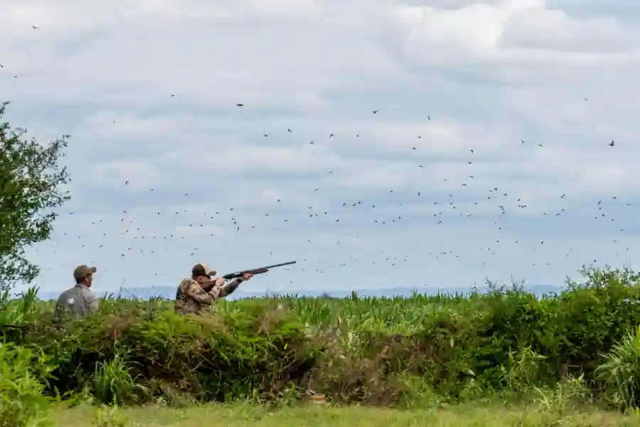 Argentinian LUXURY Hunt Raffle