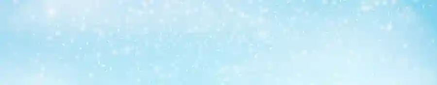 Sugar Plum Fairy Children's Ball