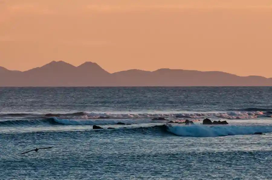 OIU Annual Sports Lunch Silent Auction