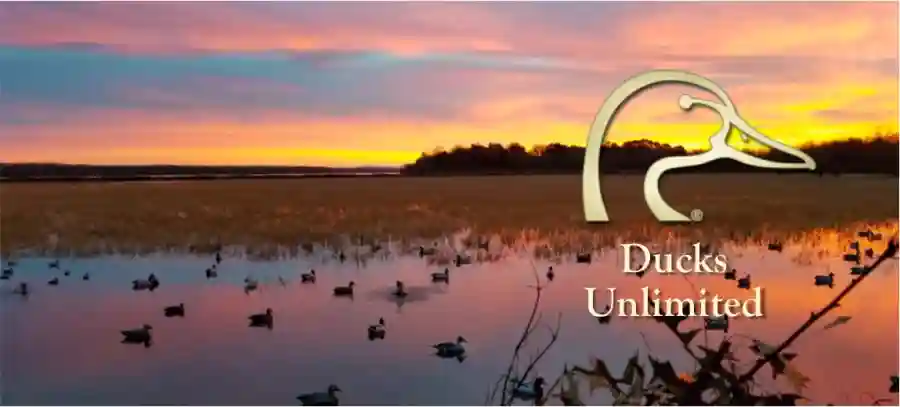 Central IL DU Winter District Meeting