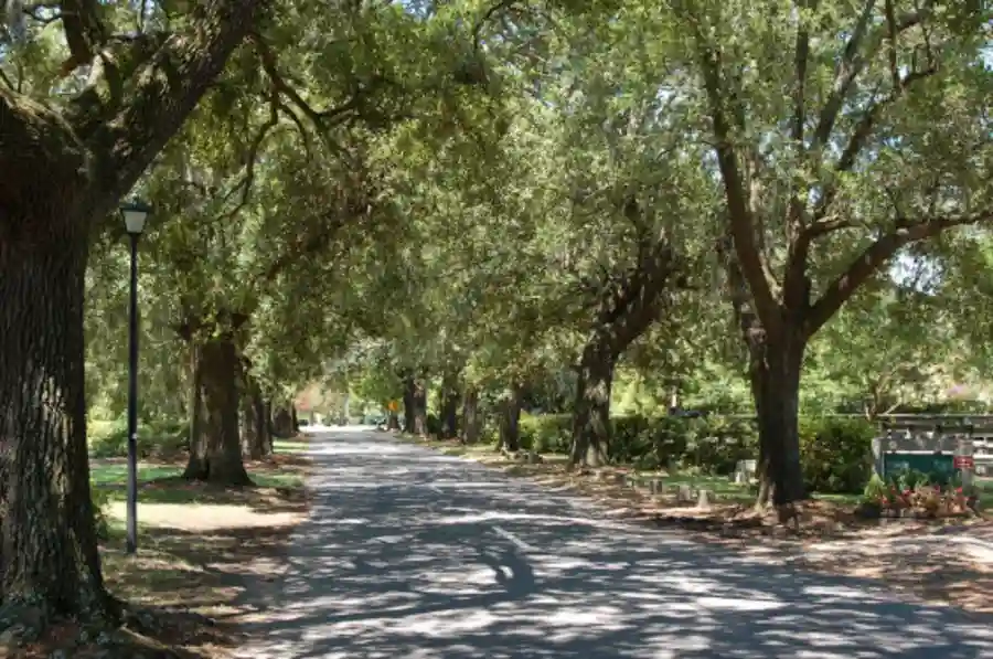 Picnic in the Park to Benefit CDF