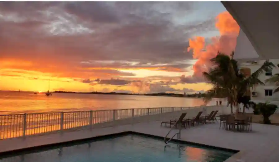 Celebrate Refugees with ERICA!  Online Silent Auction, Sep 15 & 16