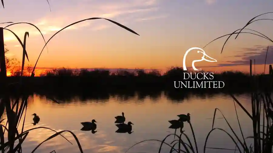 DU Sportsman Night Out