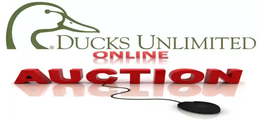 GA DU  End of the Year Silent Online Auction
