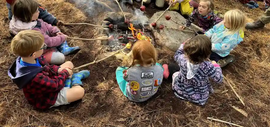 Community School Harvest Festival Auction 2023