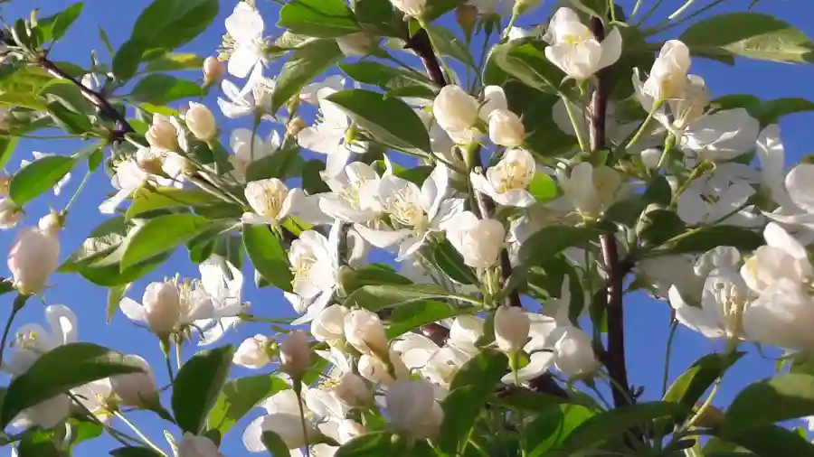 Turning Point Rising to the Challenge Benefit