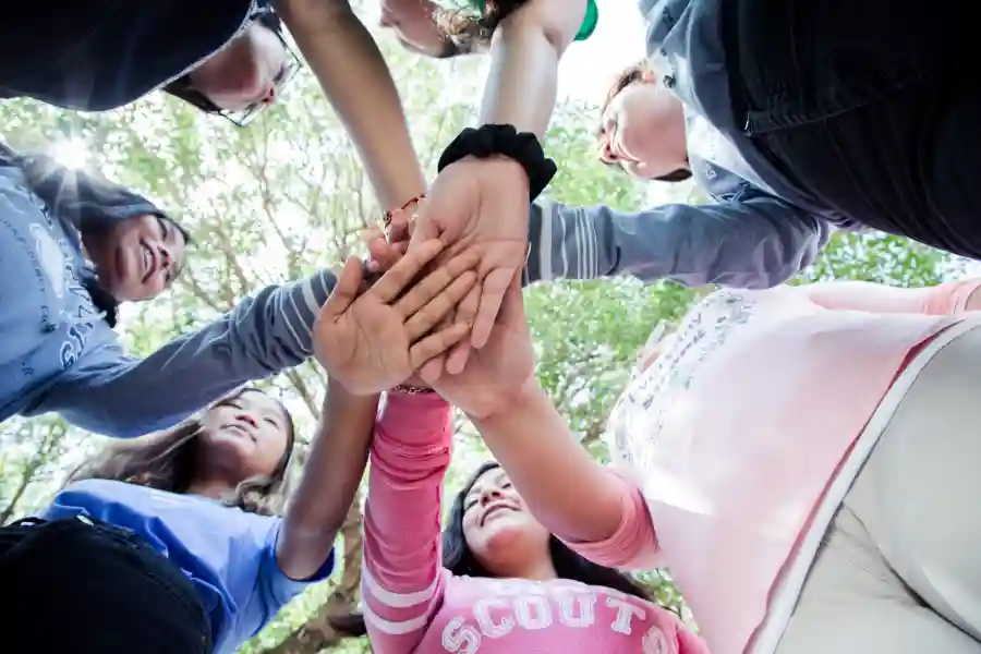 Girl Scouts of Northern Illinois 2nd Annual Online Auction