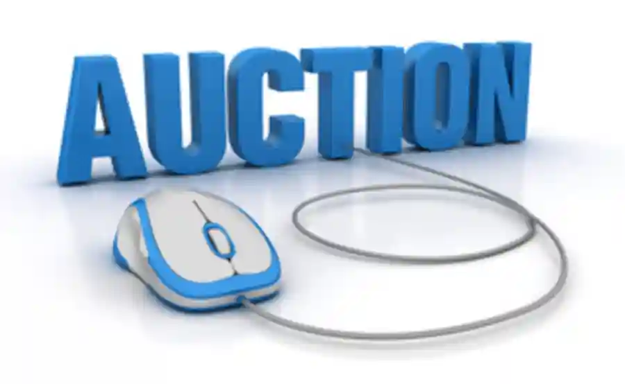 Durant Consulting Sample Auction