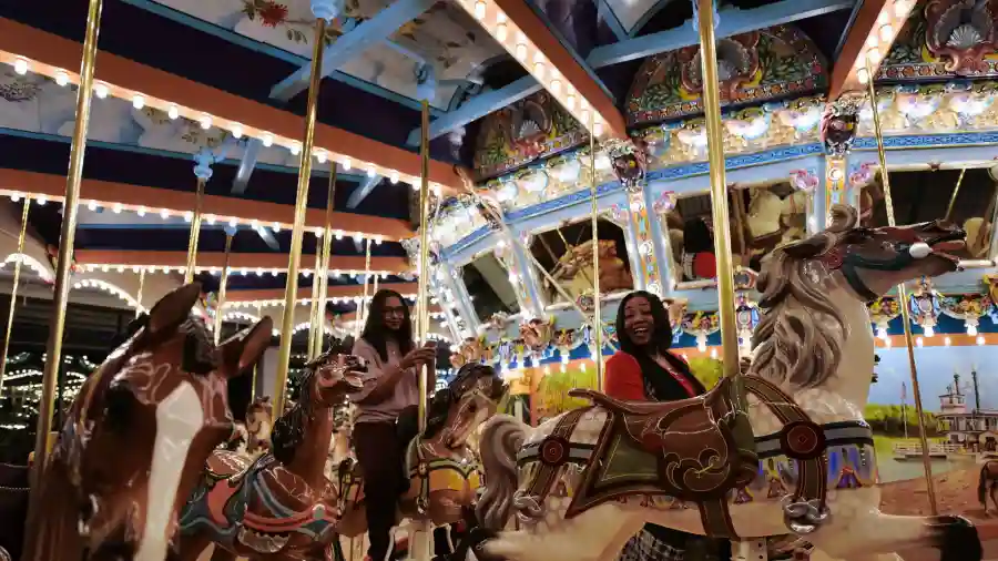 WFGM 2018 Power of the Purse Auction