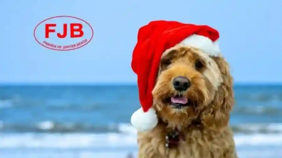Friends of Jupiter Bch Online Holiday Auction