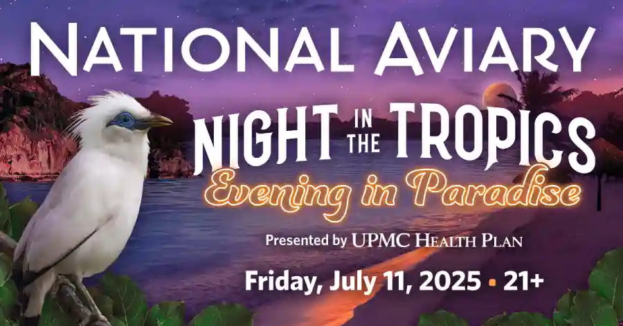 Night in the Tropics Online Auction