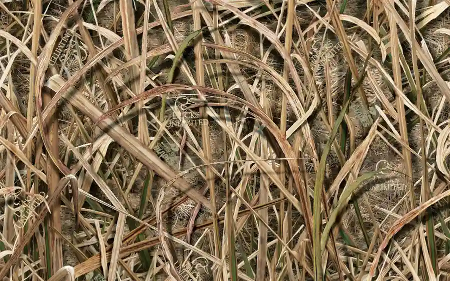 Tiger Chapter Banquet- Baton Rouge