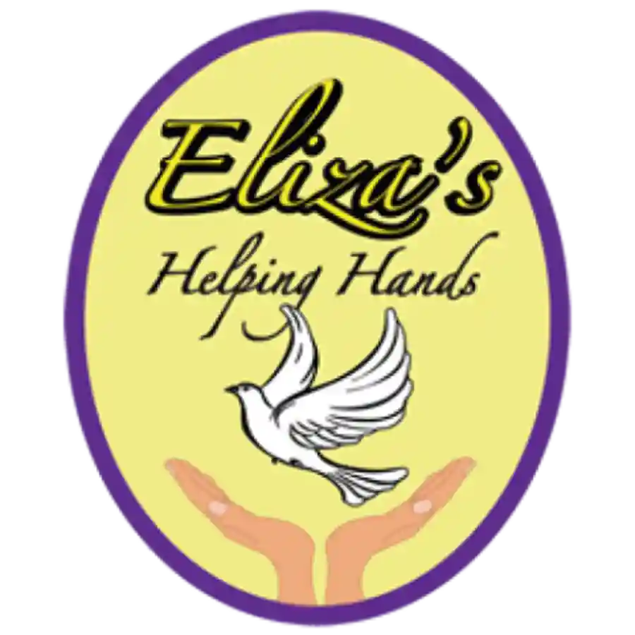 Eliza's Helping Hands Fundraiser