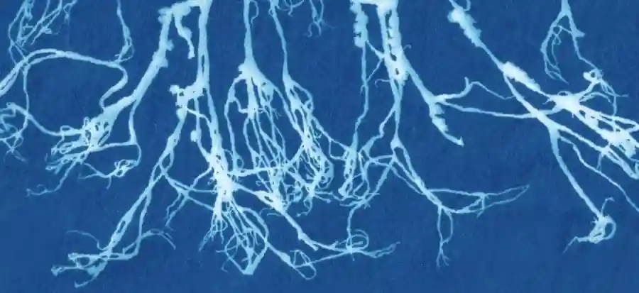 Conservation Gala 2023