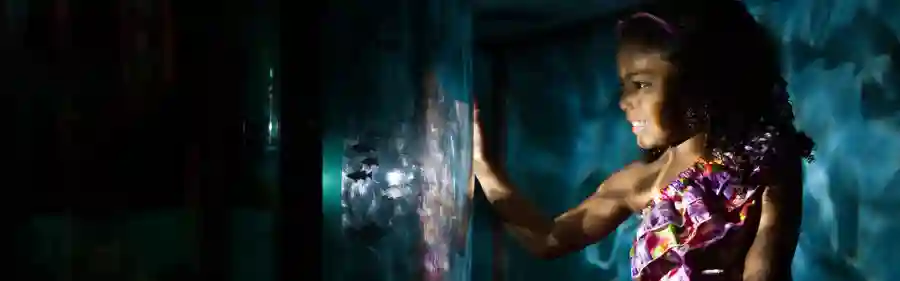 Children's Museum of Naples