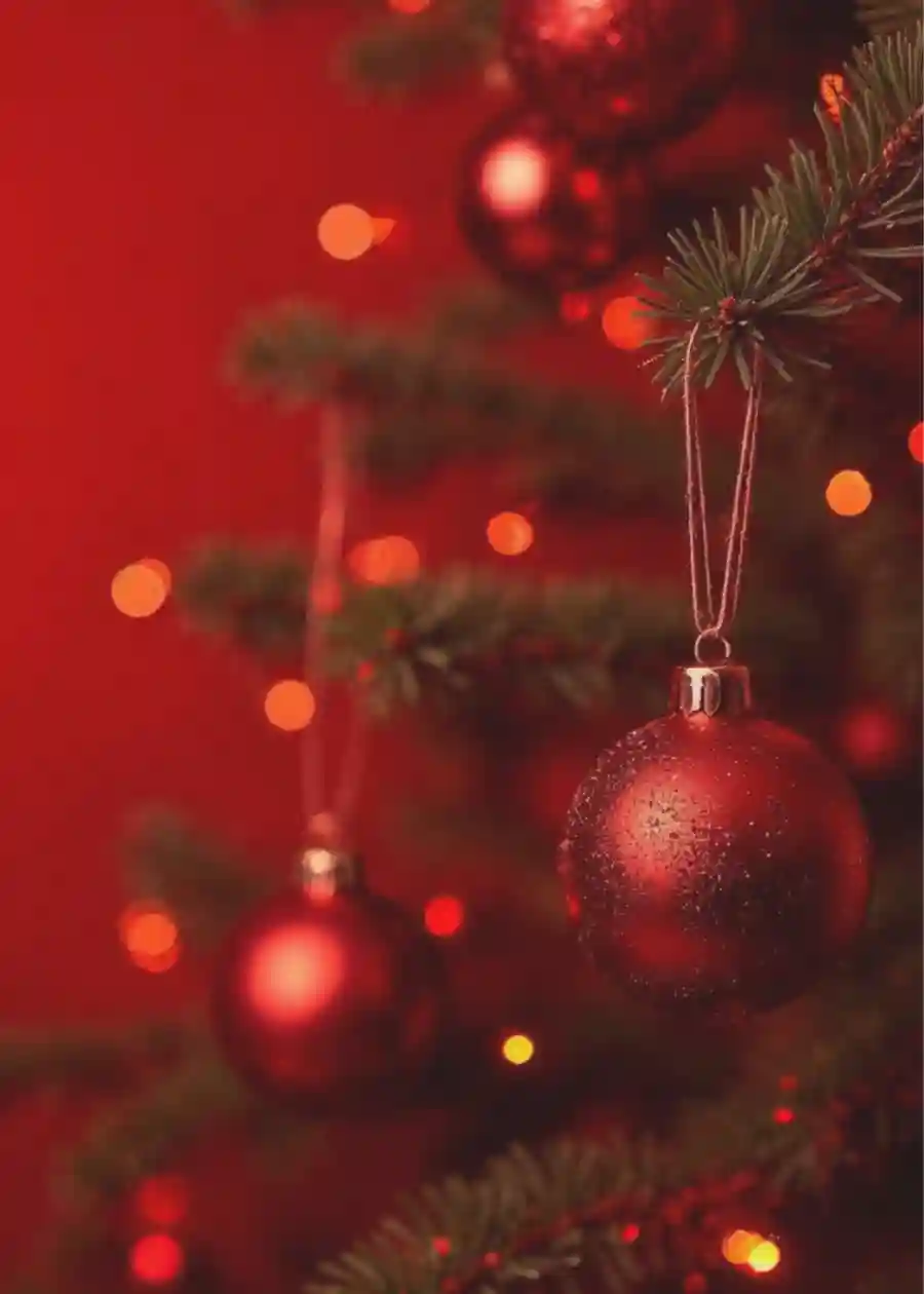 Premiere Night at Festival of Trees 2026