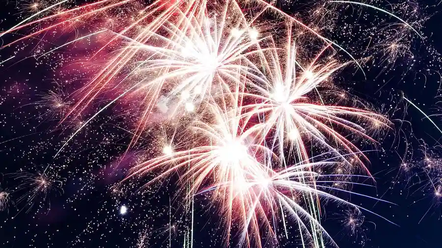 2020 Celebration of Business