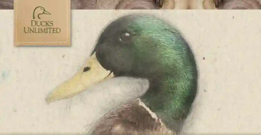 2021 Twin Cities Sponsors Event