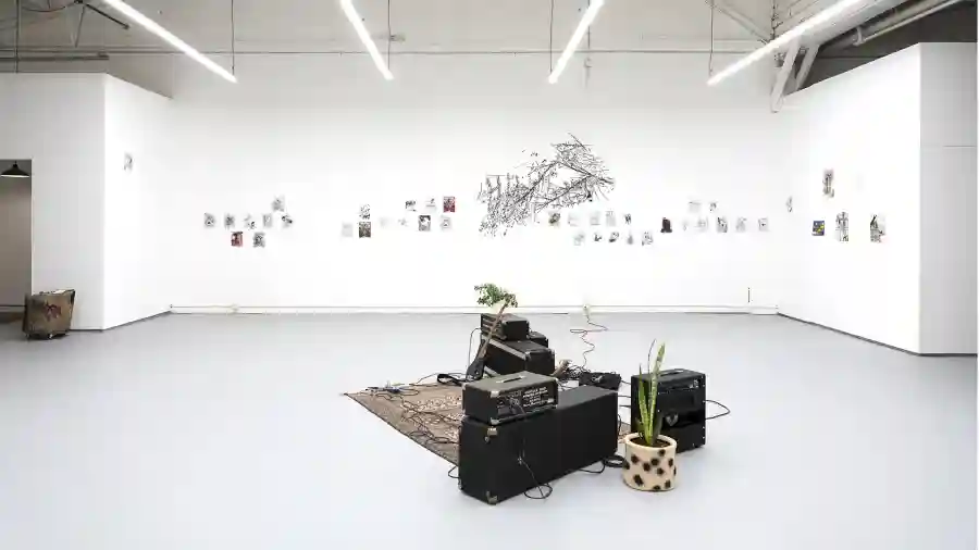 Ditch Project's Benefit Auction