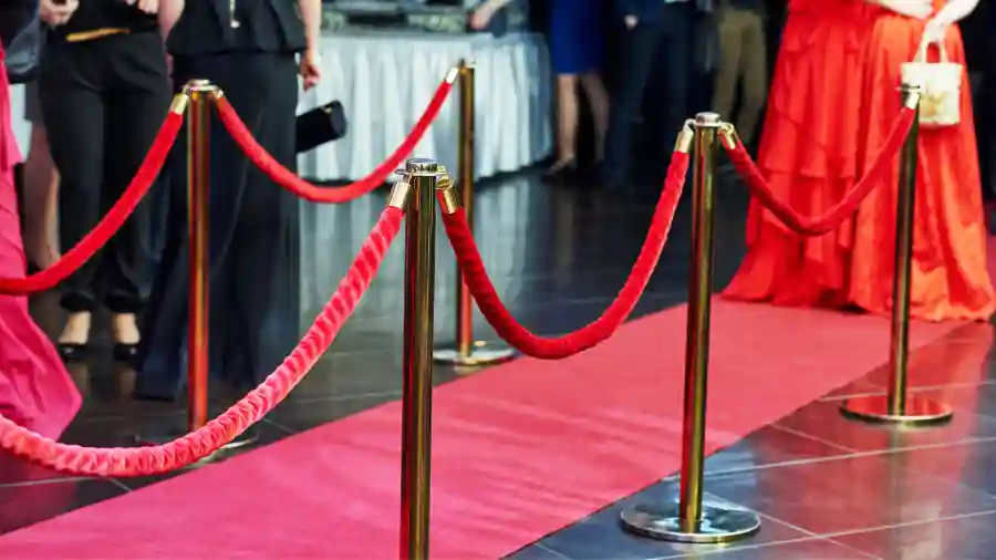 Champions for Cures and Care