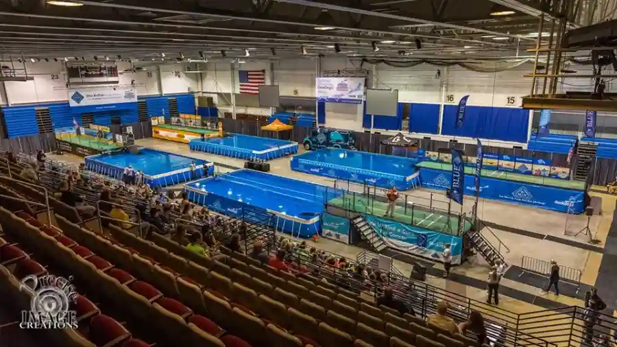 B.A.A.R.K. Foundation Silent Auction 2019