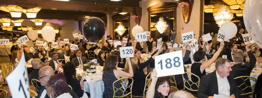 LuHi BFK Auction 2023