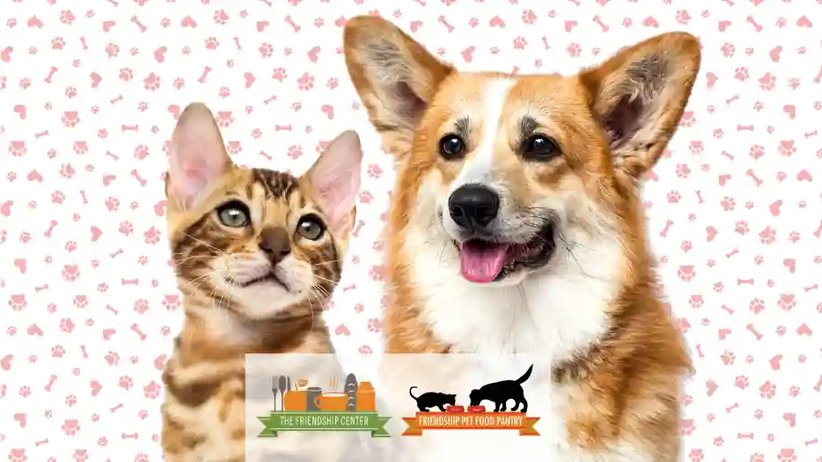 For the Love of Pets | 10th Anniversary