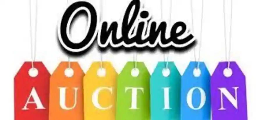 SummervilleDorchester Museum 30th Anniversary