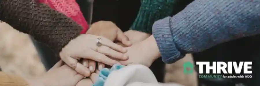 Silent Auction & Concert for Thrive Community