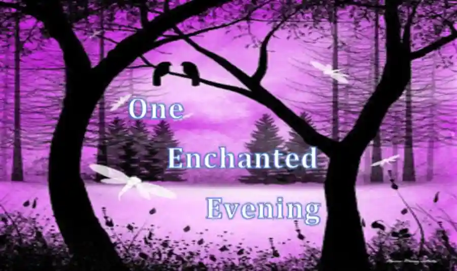 One Enchanted Evening