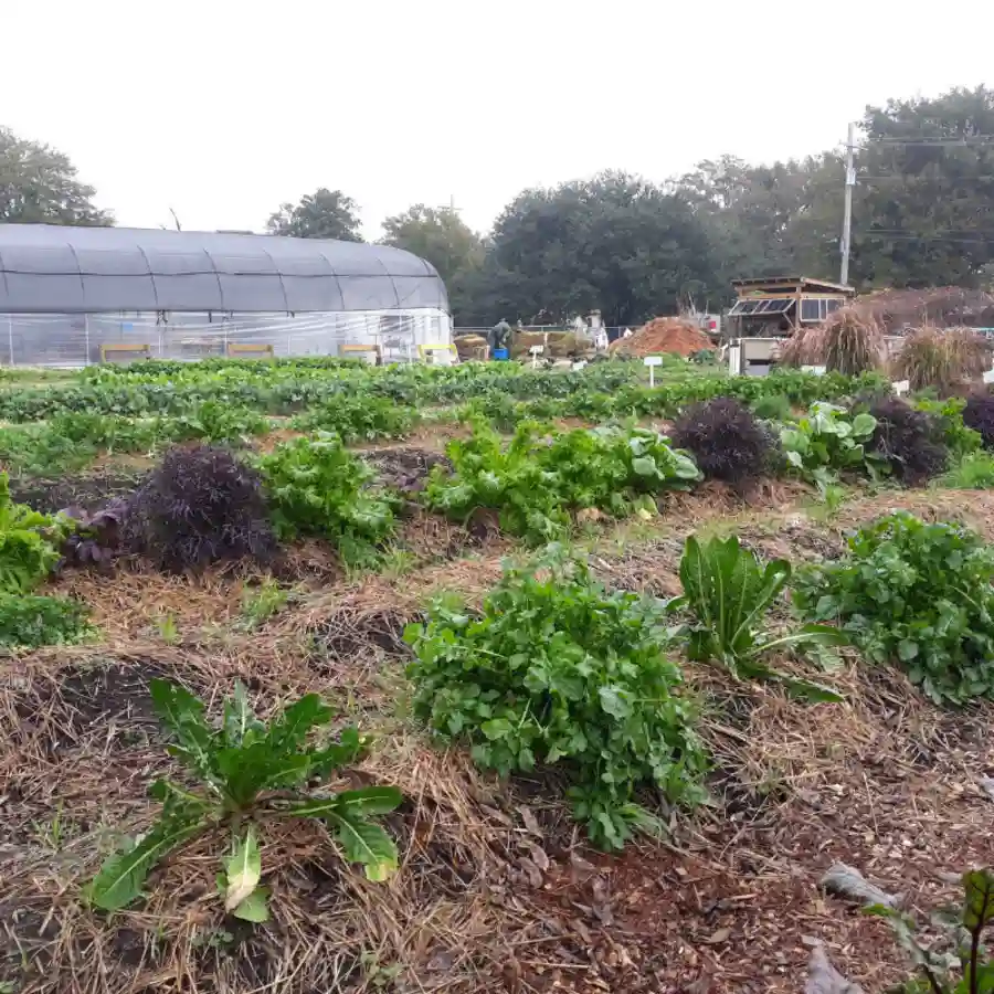 Fresh Future Farm Tours