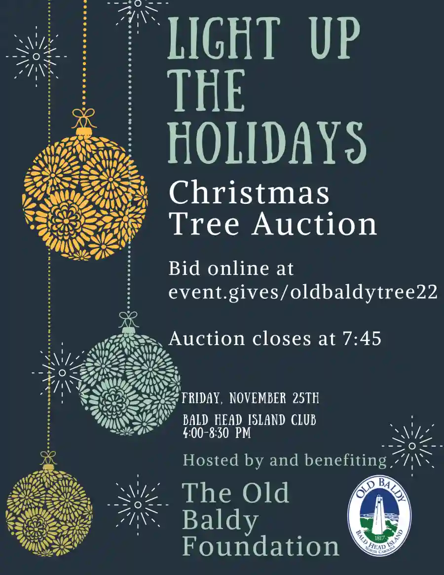 Light Up The Holidays Tree Auction
