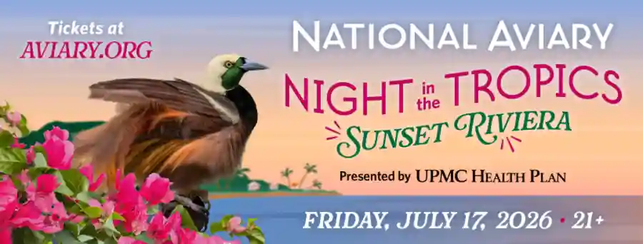 Night in the Tropics Online Auction