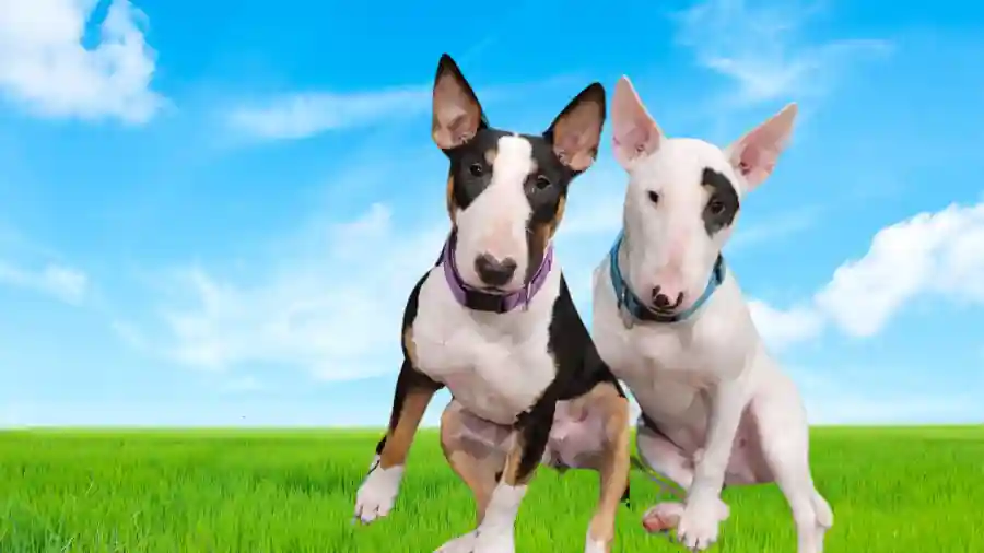 DNU Keri's Test Event