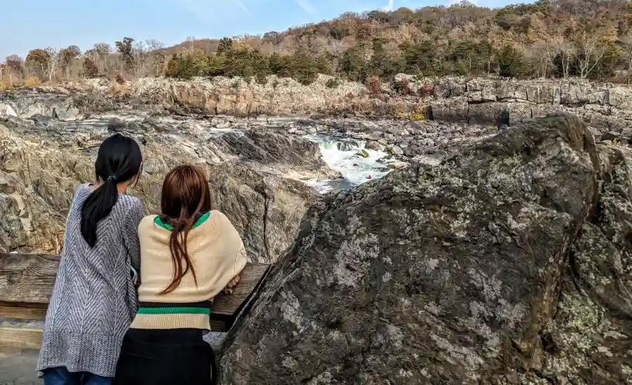 Spring Showcase Test