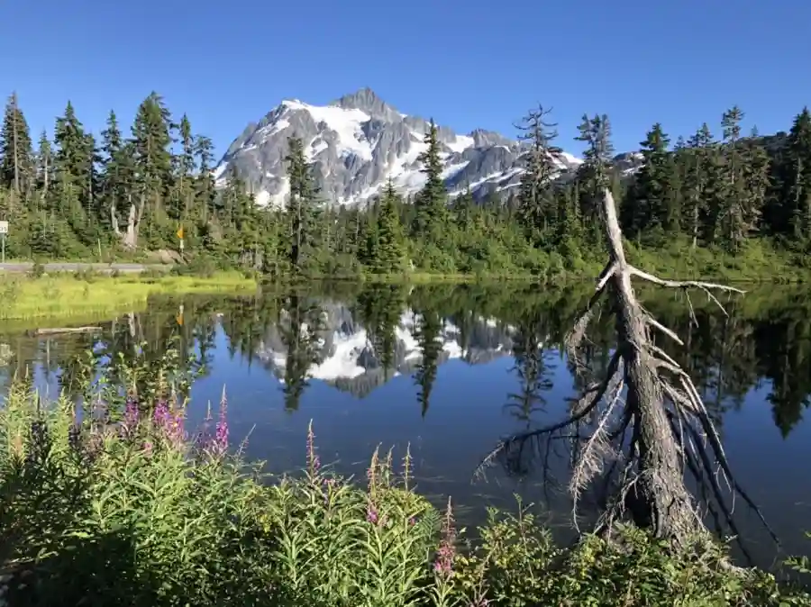 Payout Fanatical Fundraiser