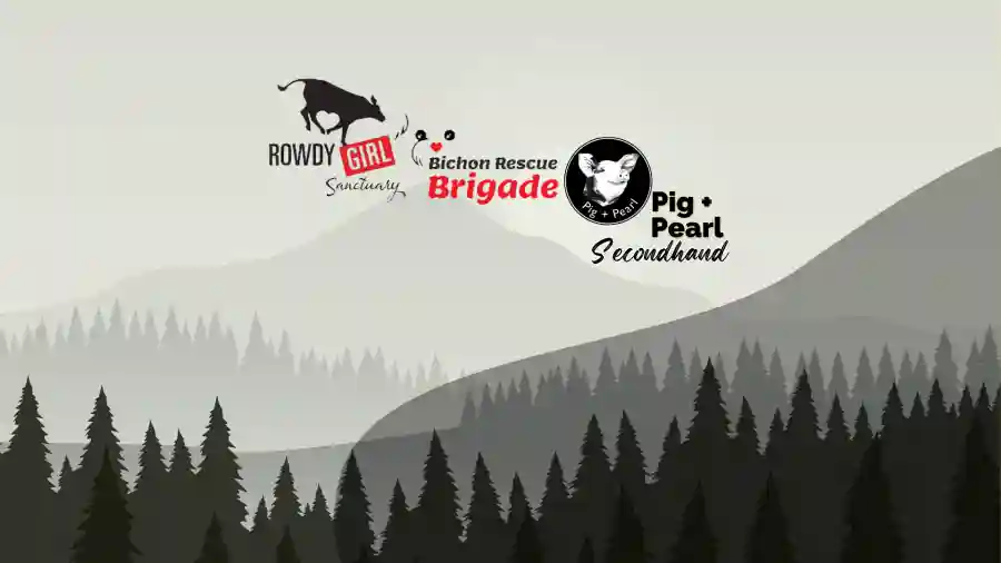 Spring Benefit Auction