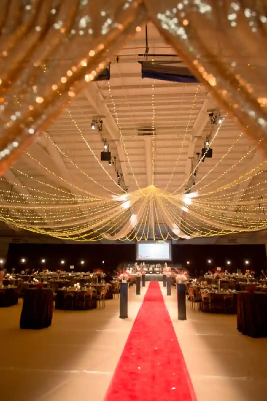 2019 Trine University Scholarship Gala