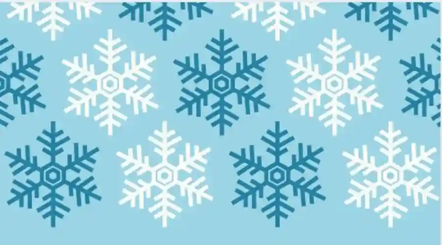 Kansas City Ballet School Holiday Raffle