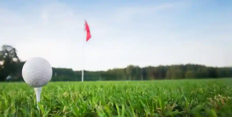 Par-Tee for a Purpose 2025