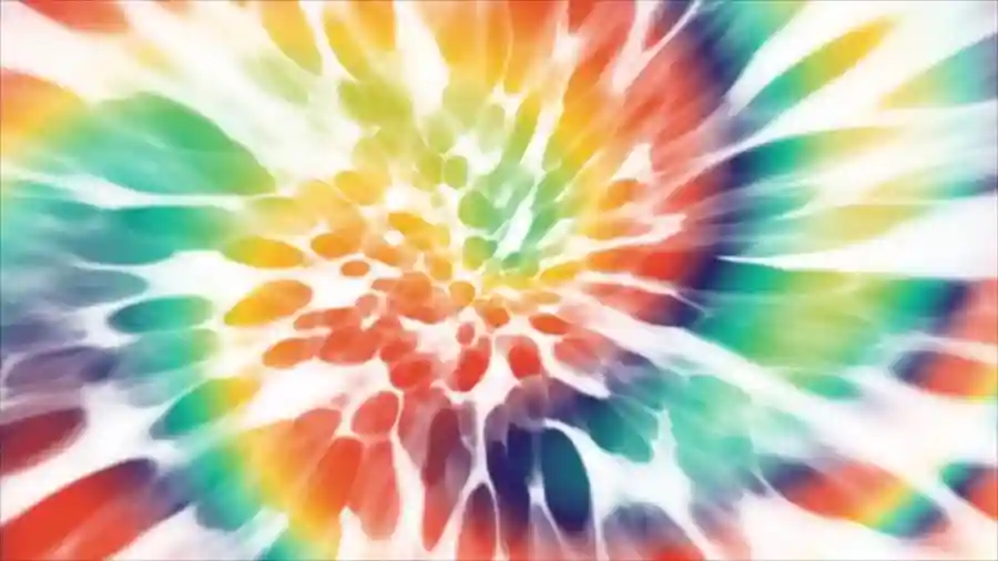 Night Out at the Zoo - DEMO site