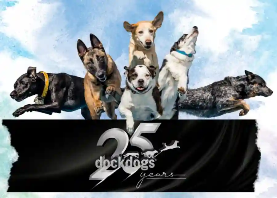 B.A.A.R.K. Foundation