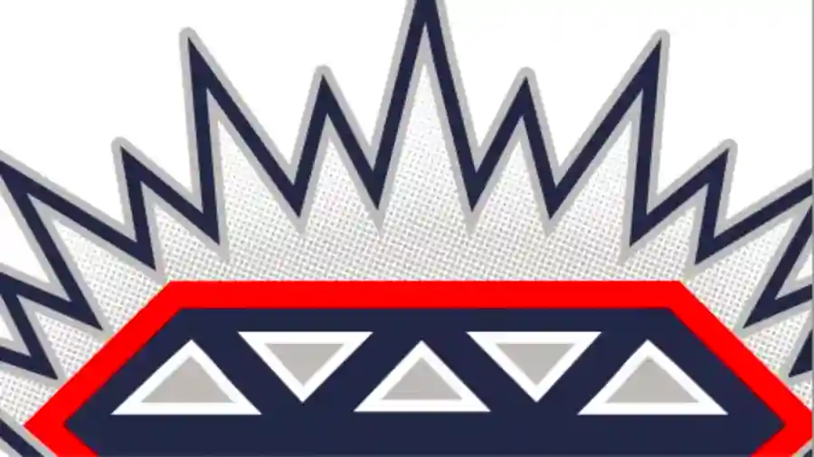 Gems Jersey Auction June 18