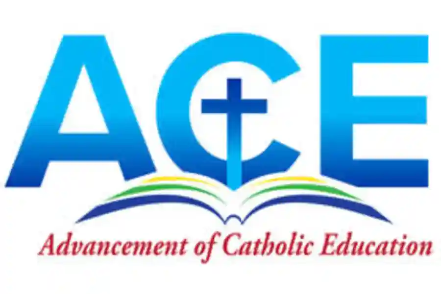 2020 ACE Virtual Event & Auction