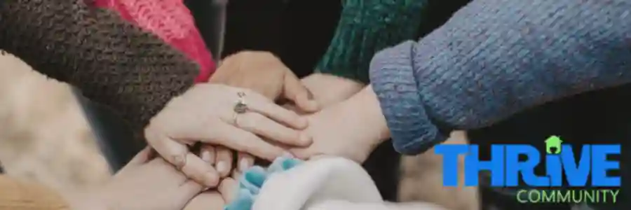 Silent Auction & Concert for Thrive Community