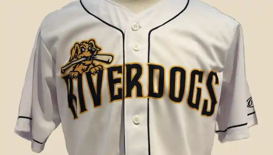 Charleston River Dogs Jersey Auction