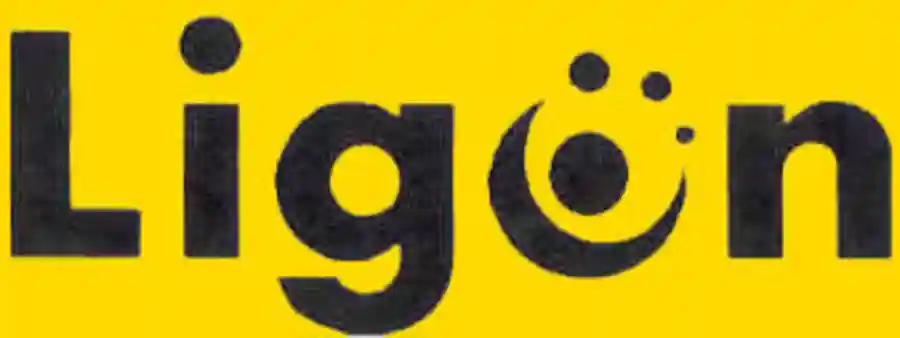 Ligon Bolt for the Blue Silent Auction 2018