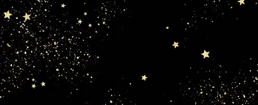 2026 Gala Under the Stars